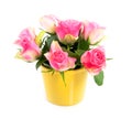 Pink roses in a yellow vase