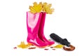 Pink Rubber Boots and black umbrella with autumn leaves on white Royalty Free Stock Photo