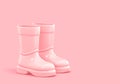 Pink rubber boots isolated on pink background. Clipping path included