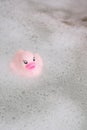 Pink Rubber Duck