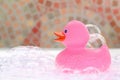 Pink rubber duck
