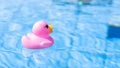 Pink rubber duck. Funny kids inflatable toy float in blue water of summer pool. Funny bird toy for kids. Royalty Free Stock Photo