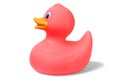 Pink rubber duck