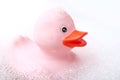 pink rubber duck toy with moss in bath Royalty Free Stock Photo