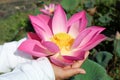Pink sacred lotus flower blossom in the hands. Nature beauty. Life is gift and precious concept. Acceptance concepts