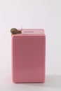 Pink safe maney box with little snail on the top Royalty Free Stock Photo