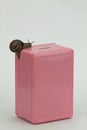 Pink safe money box with big snail on the top