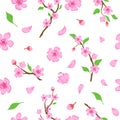 Pink sakura blossom flowers, petals and branches seamless pattern. Japanese spring cherry blooming print. Romantic Royalty Free Stock Photo