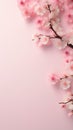 Pink sakura blossom spring vertical background with copy space