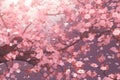 Pink sakura branch with flowers in shades viva magenta. Anime Aesthetic Texture. Spring mood. Generative Al