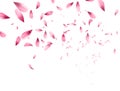 Pink sakura falling petals background. Vector illustration Royalty Free Stock Photo