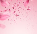 Pink sakura falling petals background. Vector illustration