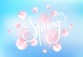 Pink sakura falling petals background. Vector illustration Royalty Free Stock Photo