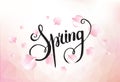 Pink sakura falling petals background. Vector illustration Royalty Free Stock Photo