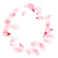 Pink sakura flower flying petals isolated on white vector background.