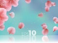 Pink sakura petals fall to the floor. Royalty Free Stock Photo