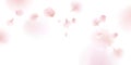 Pink sakura petals falling background