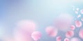 Pink sakura petals falling background