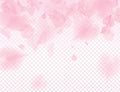 Pink sakura petals transparent background. A lot of falling petals 3D romantic valentines day illustration. Spring tender light Royalty Free Stock Photo