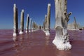 Pink salt lake with salt crystals on wooden pillars.