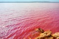 Pink salt lake La Salinas de La Mata of Torrevieja