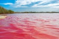 Pink salt lake La Salinas de La Mata of Torrevieja Royalty Free Stock Photo