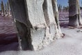 Pink salt lake with salt crystals on wooden pillars. Royalty Free Stock Photo