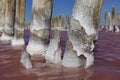 Pink salt lake with salt crystals on wooden pillars. Royalty Free Stock Photo