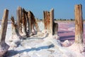 Pink salt lake summer landscape. Salt lane enclosed by dried wooden pillars. Reflection on the water. Royalty Free Stock Photo