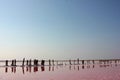 Pink salt lake summer landscape. Salt lane enclosed by dried wooden pillars. Reflection on the water. Royalty Free Stock Photo