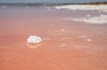 Pink salt lake in Torrevieja. Costa Blanca, province of Alicante, Spain Royalty Free Stock Photo