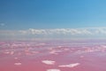 Pink salt lake water close-up with cloudy blue sky Royalty Free Stock Photo