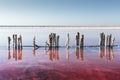 Pink salt lake water with wooden posts