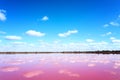 Pink salt lake in Western Australia