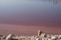 Pink salt lakes at Margherita Di Savoia in Puglia, Italy. Water is pink crustaceans that live in it. Royalty Free Stock Photo