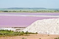 Pink salt marsh