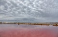 Pink salt pool at sunrise with dark gray clouds