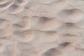 Pink sand background. Royalty Free Stock Photo