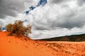 Pink Sand Dune ander sky