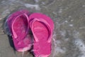 Pink Sandals Royalty Free Stock Photo