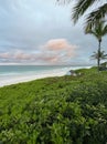 Pink Sands beach at sunset across vegetation Royalty Free Stock Photo