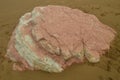 Pink Sandstone Fossil Records With Flysch-type Formations From the Paleocene Geopark Basque Route UNESCO. Shooting Game Of Thrones Royalty Free Stock Photo