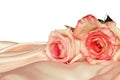 Pink satin and roses Royalty Free Stock Photo