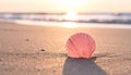 Pink Scallop Shell Resting on Sandy Beach at Sunrise with Ocean Waves seashell Royalty Free Stock Photo