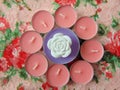 Pink scented candles with white flower in the middle Royalty Free Stock Photo