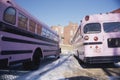 Pink school buses