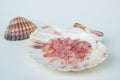 Pink sea bath salt in a white sea shell with another in the background Royalty Free Stock Photo