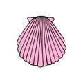 Pink sea shell vector hand drawn illustration Royalty Free Stock Photo