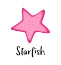 Pink sea starfish vector illustration Royalty Free Stock Photo