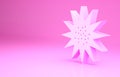 Pink Sea urchin icon isolated on pink background. Minimalism concept. 3d illustration 3D render Royalty Free Stock Photo